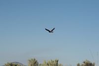 Aug_23_2009_0972.jpg