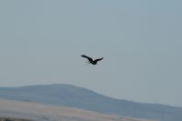 Aug_23_2009_0981.jpg
