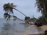 Costa_Rica_0235.jpg
