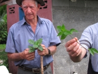 Costa_Rica_0588.jpg