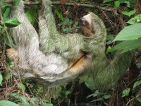 Costa_Rica_0668.jpg