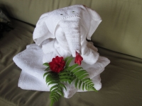 Costa_Rica_0712.jpg