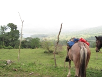 Costa_Rica_1128.jpg