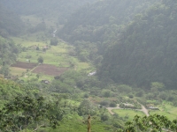 Costa_Rica_1134.jpg