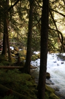 IMG_8717071811.jpg