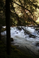 IMG_8718071811.jpg