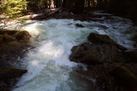 IMG_8723071811.jpg