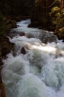 IMG_8725071811.jpg
