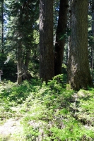 IMG_8755071811.jpg