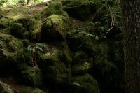 Lena_Lake_Apr_19_2009_0397.jpg