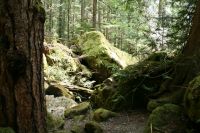 Lena_Lake_Apr_19_2009_0401.jpg