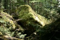 Lena_Lake_Apr_19_2009_0403.jpg