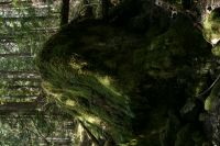 Lena_Lake_Apr_19_2009_0404.jpg